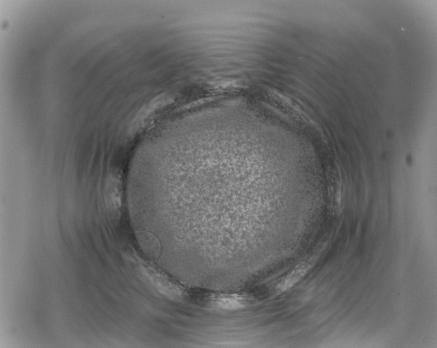 X0000078860710200611271412