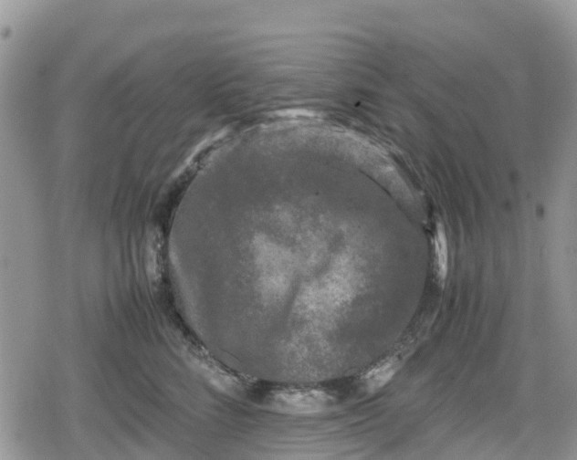 X0000078860712200611271412