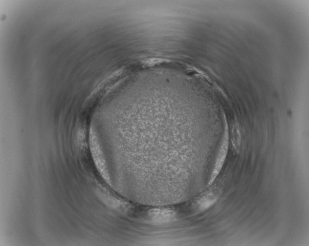 X0000078860714200611271412