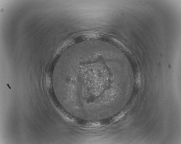 X0000078860715200611271412