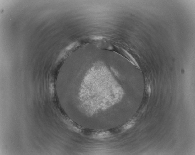 X0000078860716200611271412