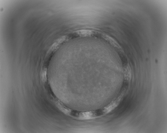 X0000078860717200611271412