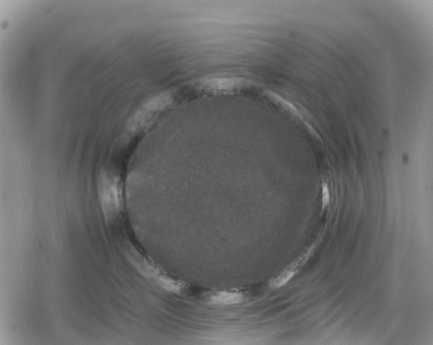 X0000078860718200611271412