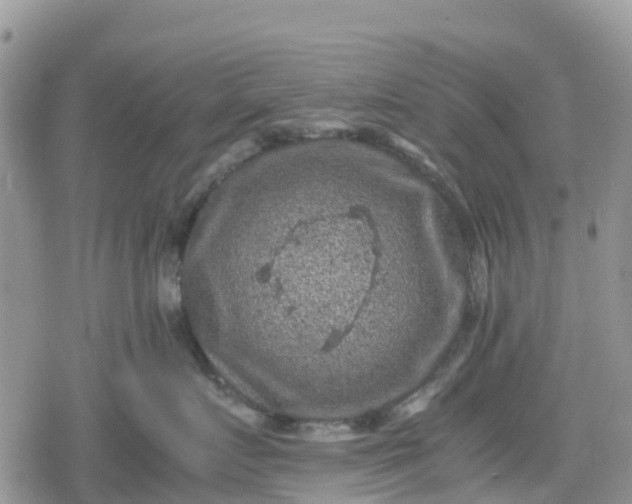 X0000078860719200611271412