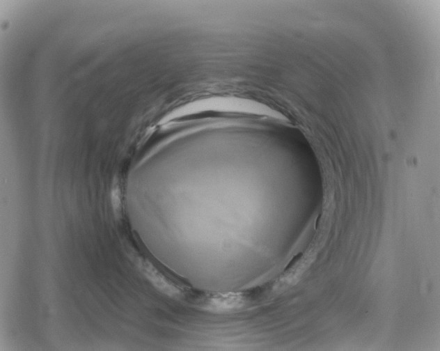 X0000078860720200611271412