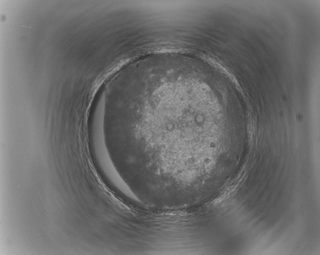 X0000078860721200611271411