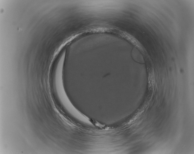 X0000078860722200611271411