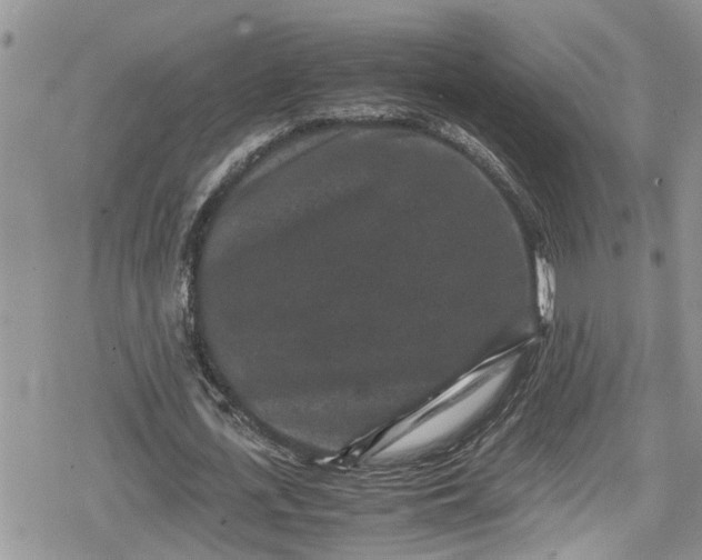 X0000078860723200611271411