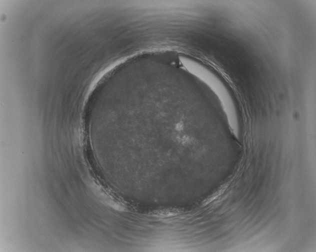 X0000078860724200611271411