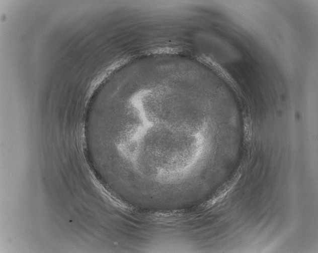 X0000078860725200611271411