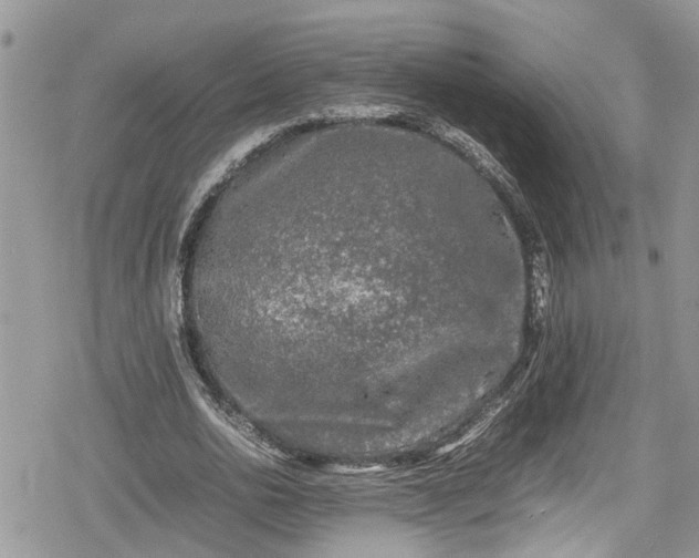 X0000078860726200611271411