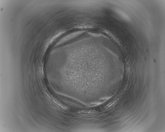 X0000078860727200611271411