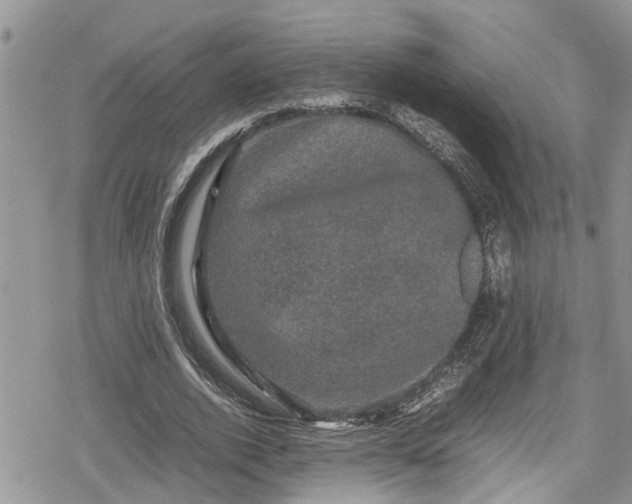 X0000078860728200611271411