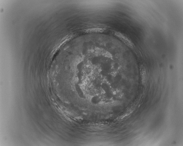 X0000078860729200611271411