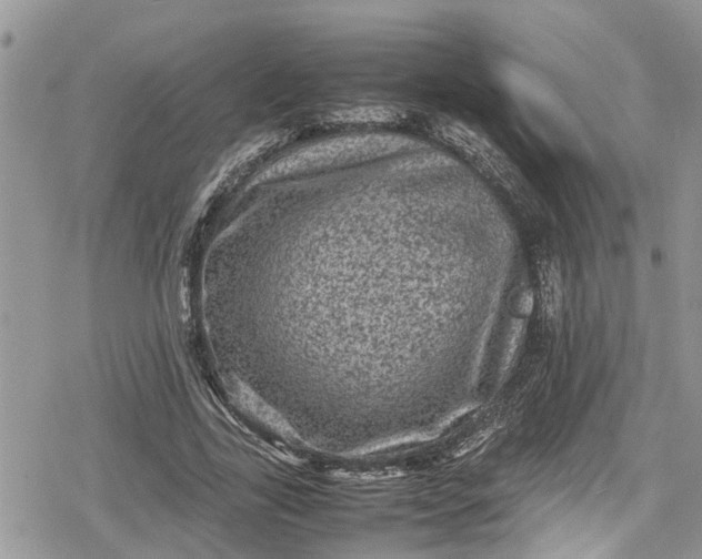 X0000078860731200611271411