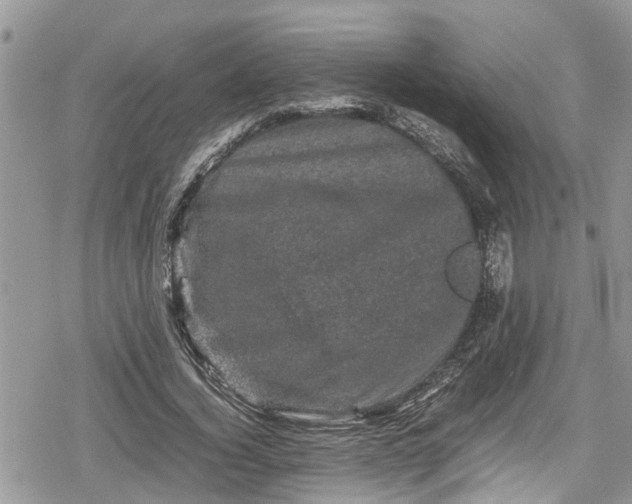 X0000078860732200611271411