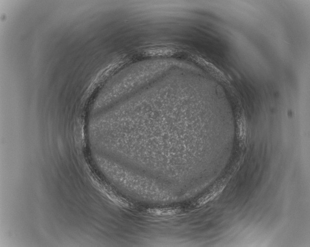 X0000078860733200611271411