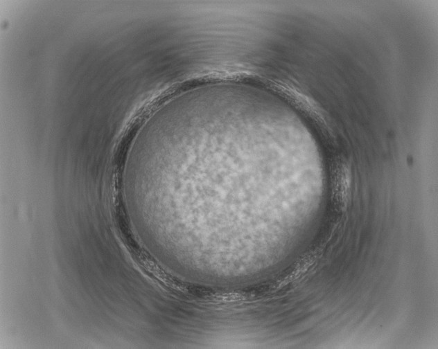 X0000078860736200611271411