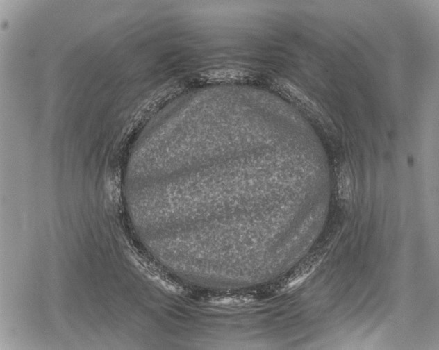 X0000078860737200611271411