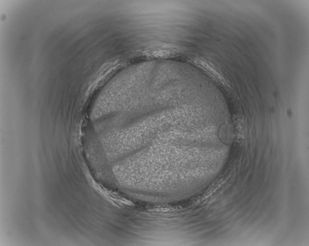 X0000078860738200611271411