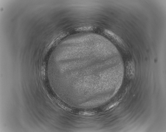 X0000078860739200611271411