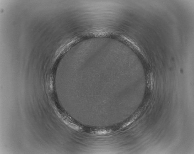 X0000078860740200611271411