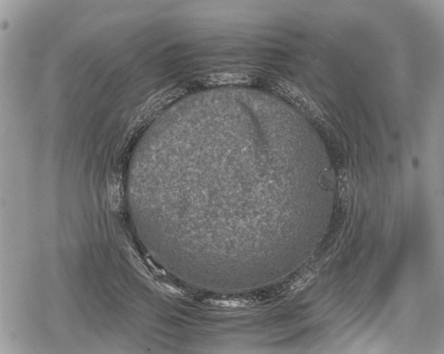 X0000078860741200611271411