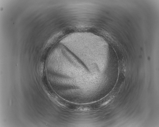 X0000078860742200611271411