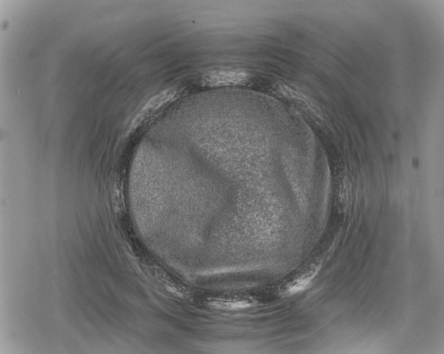 X0000078860743200611271411