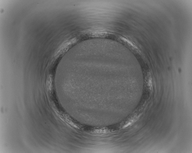 X0000078860744200611271411