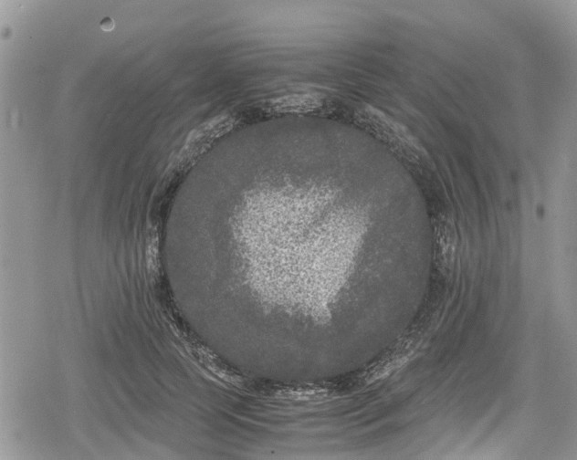 X0000078860745200611271411