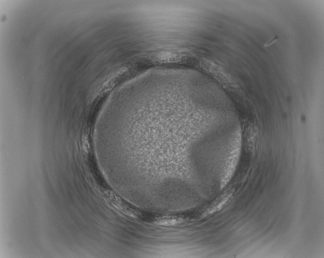 X0000078860746200611271411