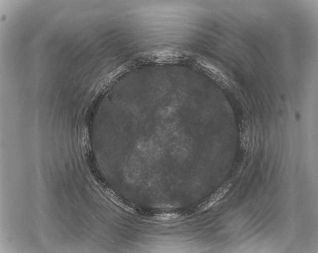 X0000078860748200611271411