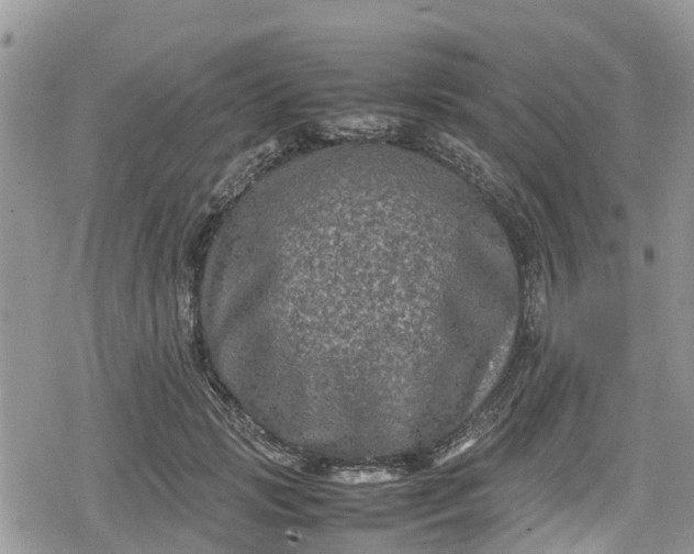 X0000078860749200611271411