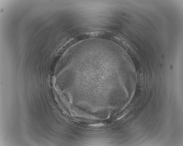 X0000078860750200611271411