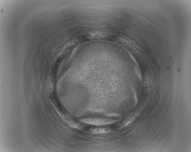 X0000078860751200611271411