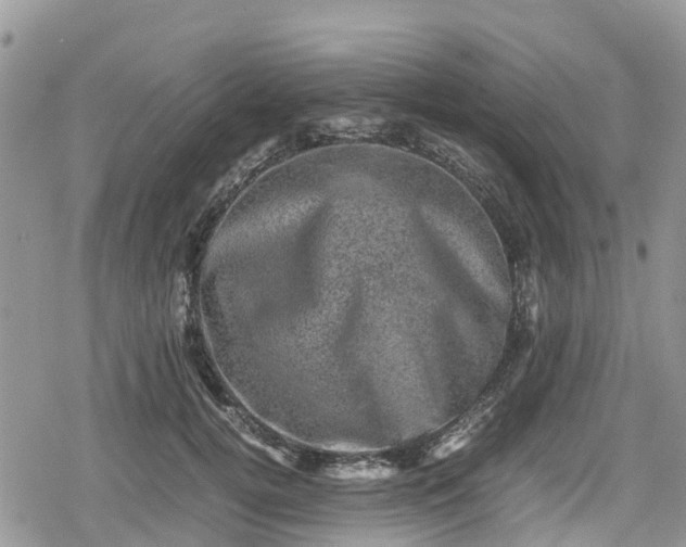 X0000078860752200611271411