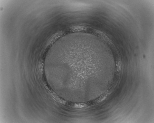 X0000078860753200611271411