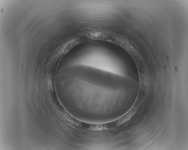 X0000078860754200611271411