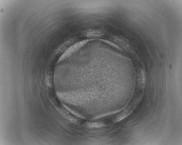 X0000078860755200611271411