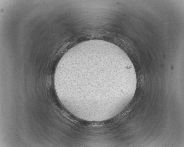 X0000078860756200611271411