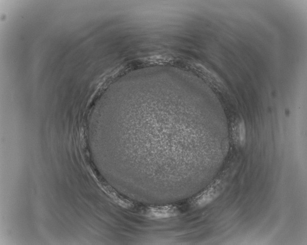 X0000078860757200611271411