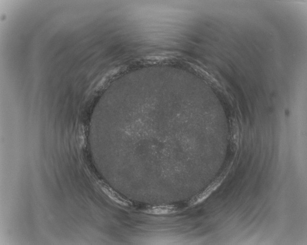 X0000078860758200611271411