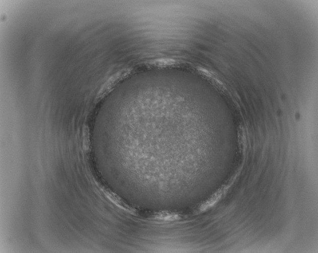 X0000078860760200611271411