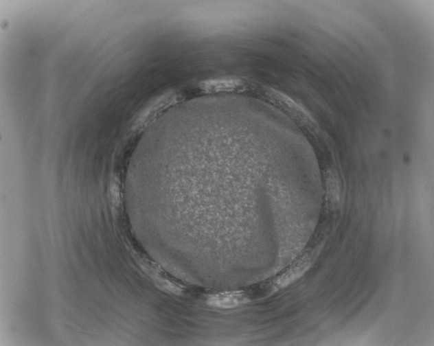 X0000078860761200611271411