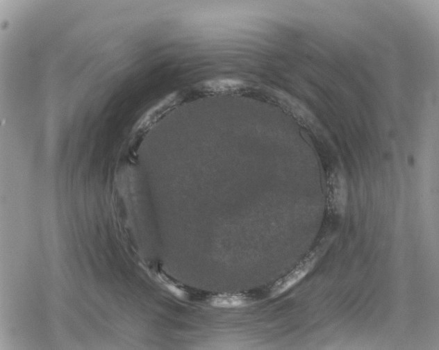 X0000078860762200611271411