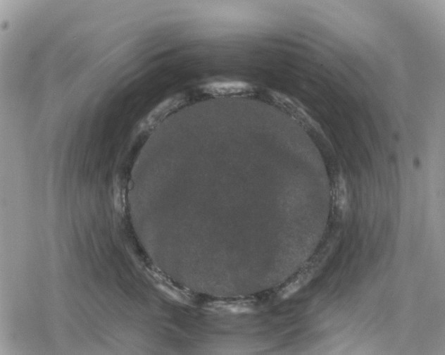 X0000078860763200611271411