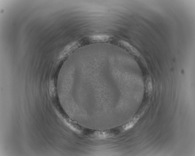 X0000078860764200611271412