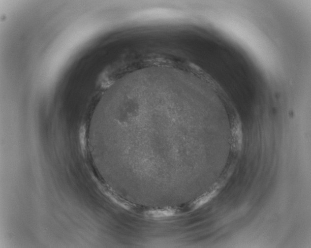 X0000078860765200611271412