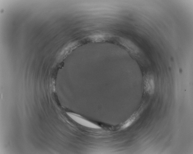 X0000078860766200611271412